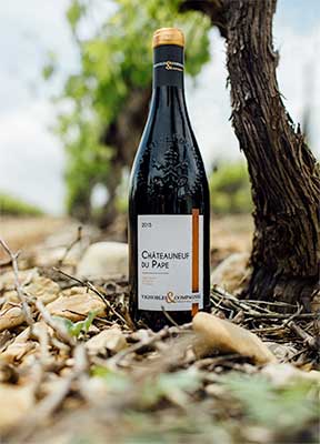 Image de couverture - Châteauneuf-du-Pape Vignobles & Compagnie 2016