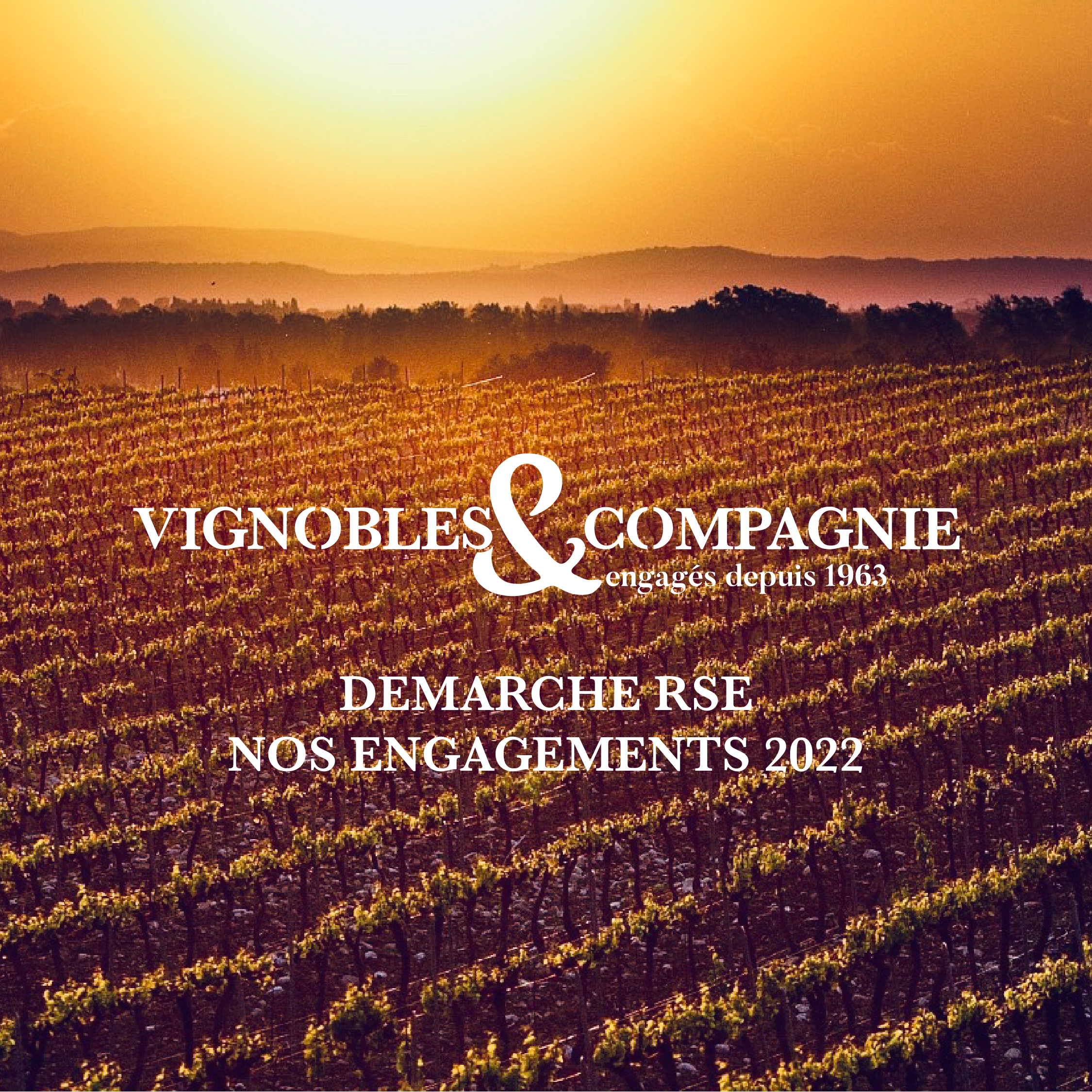 Image de couverture - Démarche RSE de Vignobles & Compagnie