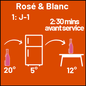 À quelle température déguster votre vin blanc ou vin rosé ?