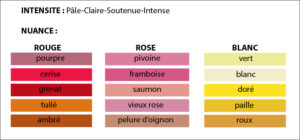 Reconnaître les couleurs lors de la dégustation de vin