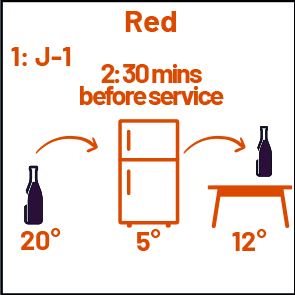 The right temperature to serve your red wine